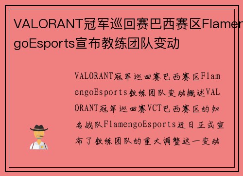 VALORANT冠军巡回赛巴西赛区FlamengoEsports宣布教练团队变动
